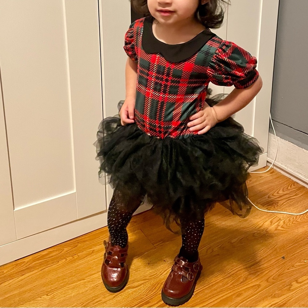 Aritutus fancy tutu dress